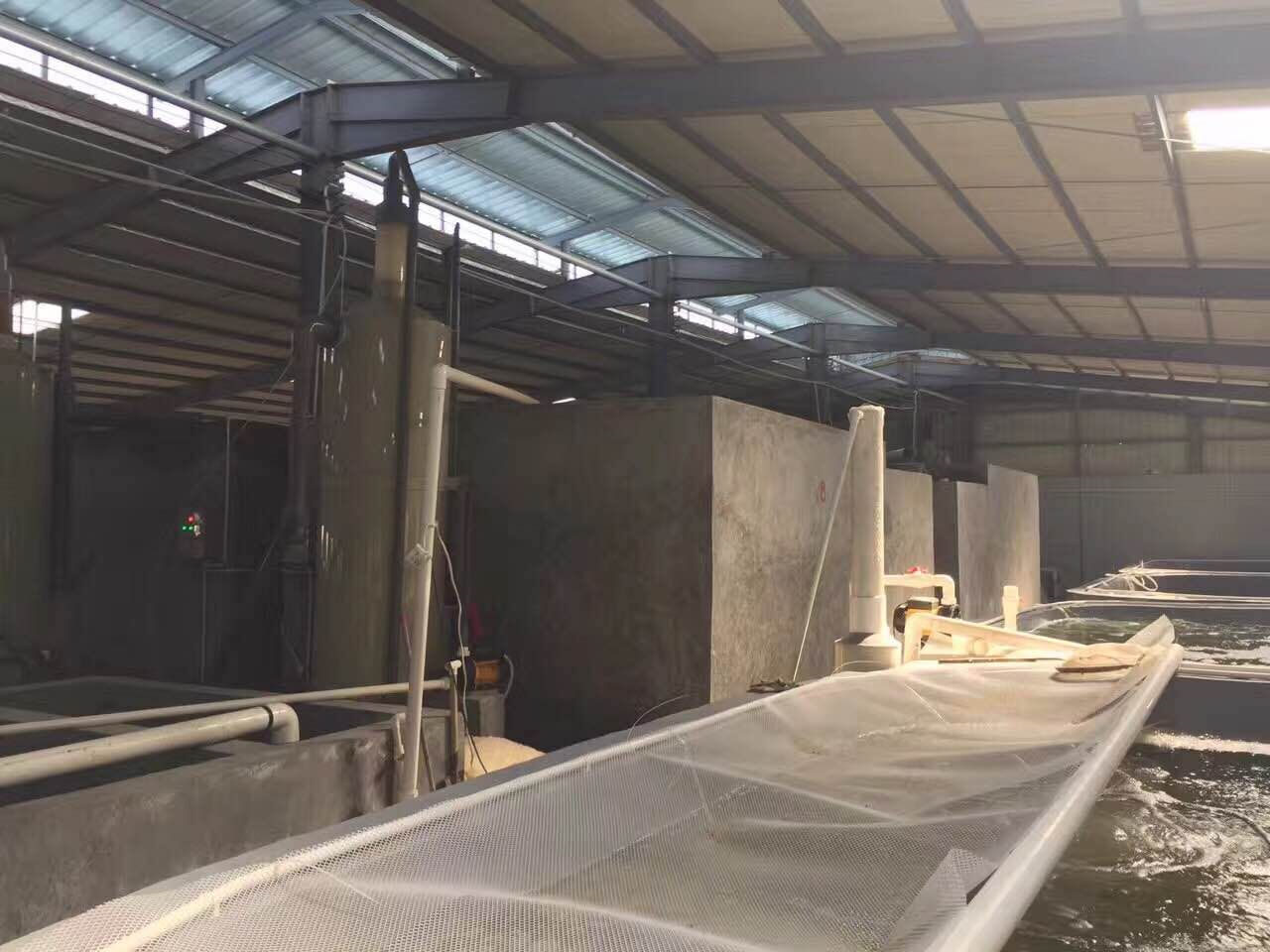 養(yǎng)殖 (1).jpg